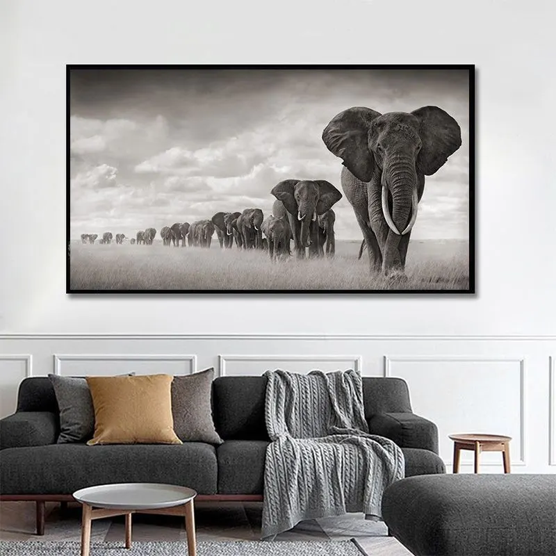 Safari Élégant
