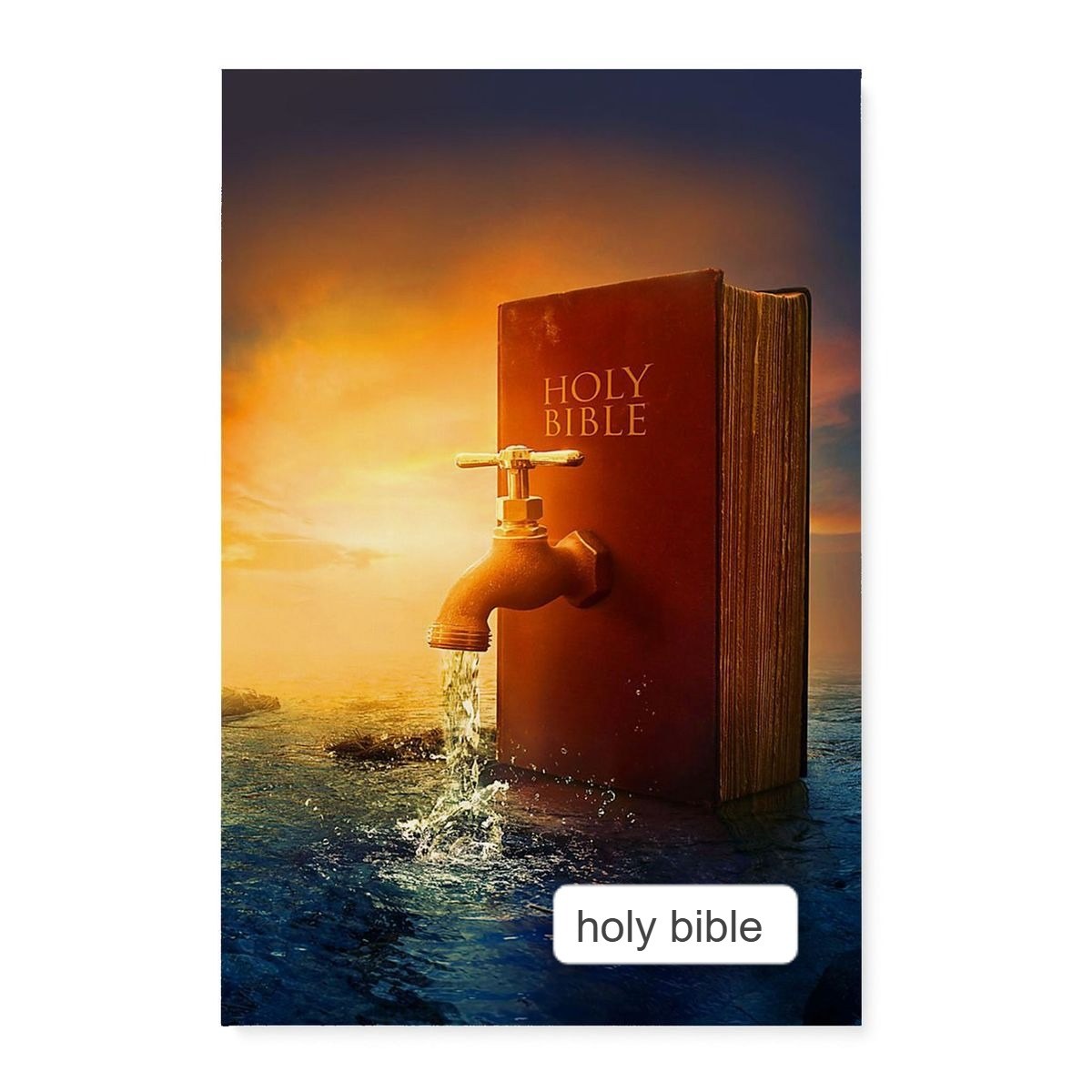 Holy Bible